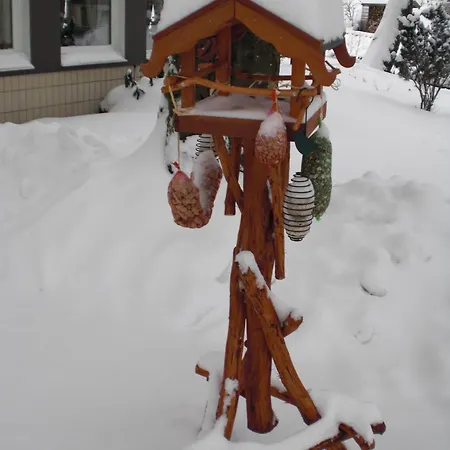 Pensionat Irmgard 3*