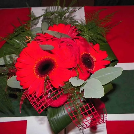 Irmgard 3* Braunlage