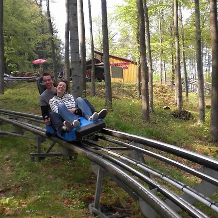 Pensionat Irmgard 3*