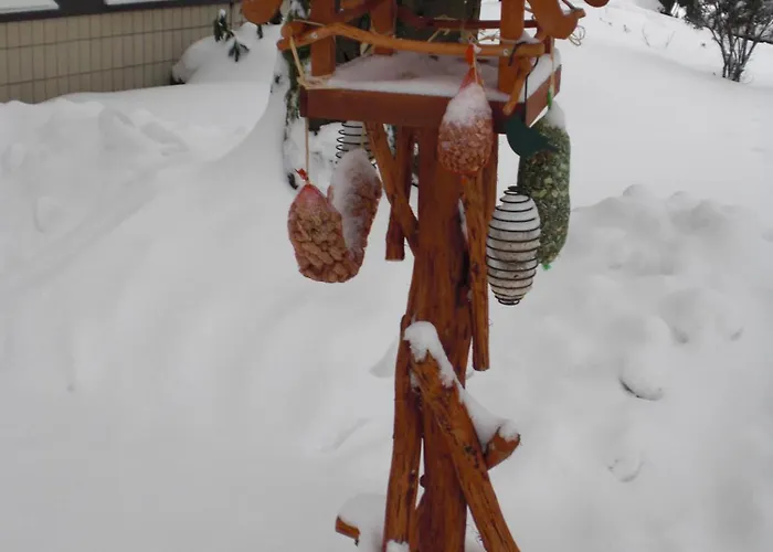 Гостевой дом Landhaus Irmgard 3*